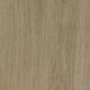 Mflor 73022 River Oak XL Danube 25-05 - Thumbnail Image 3